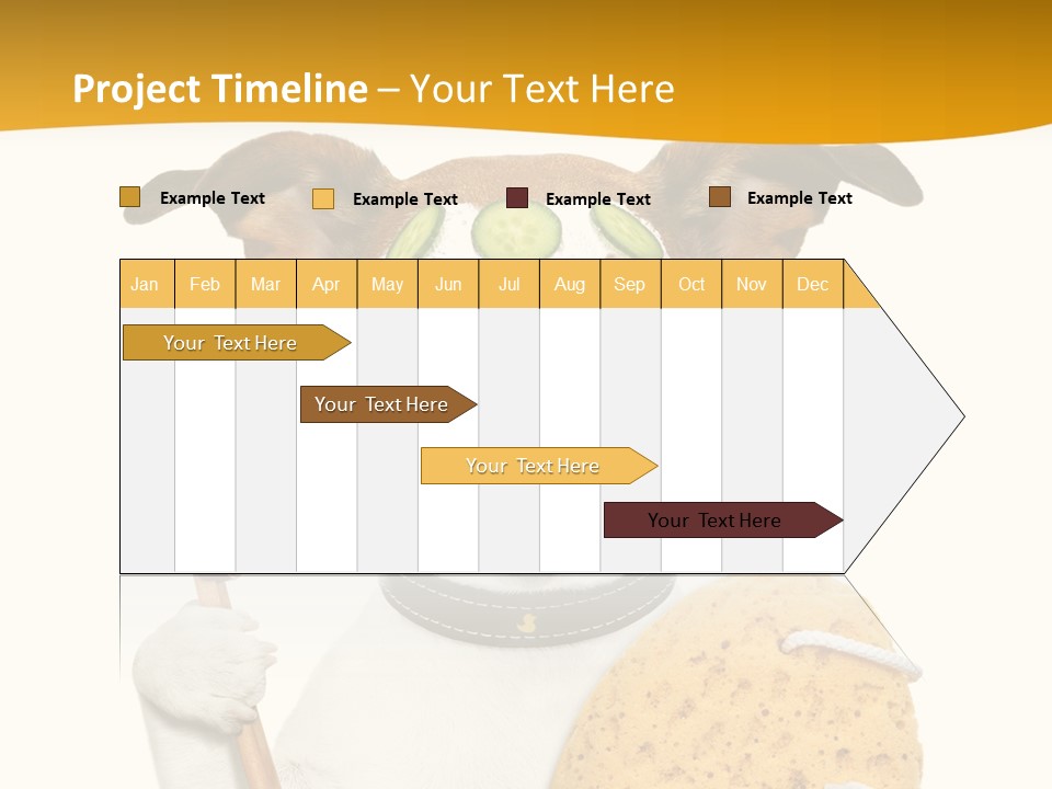 Healthy Body Treatment PowerPoint Template