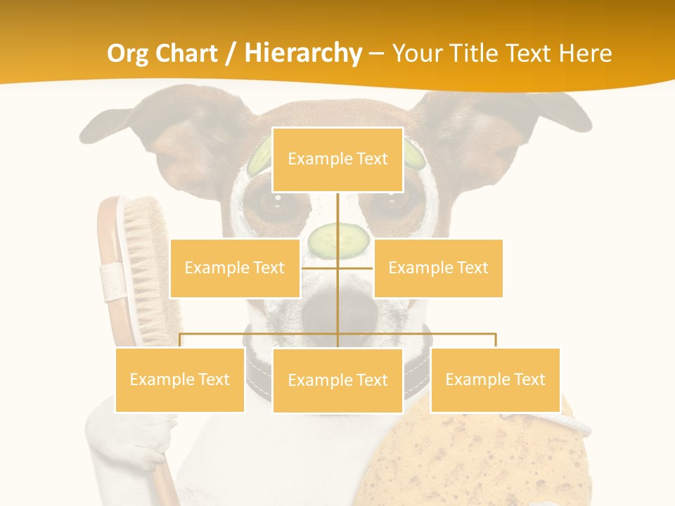 Healthy Body Treatment PowerPoint Template