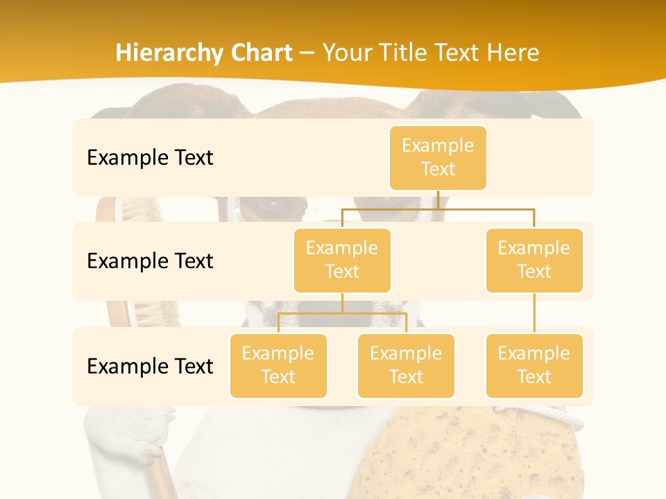 Healthy Body Treatment PowerPoint Template