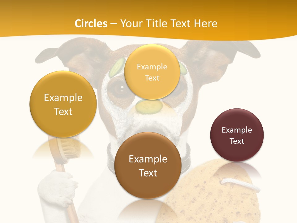 Healthy Body Treatment PowerPoint Template