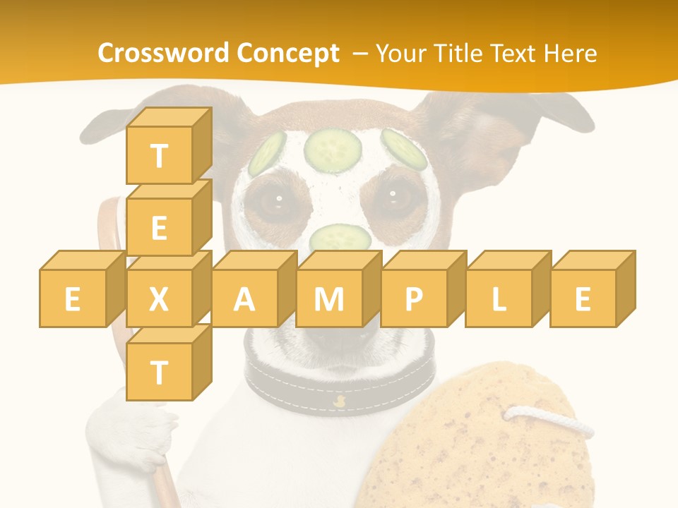 Healthy Body Treatment PowerPoint Template