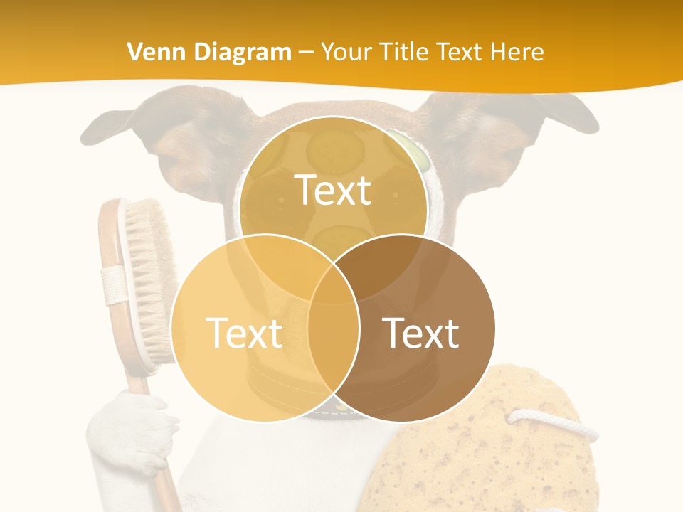 Healthy Body Treatment PowerPoint Template