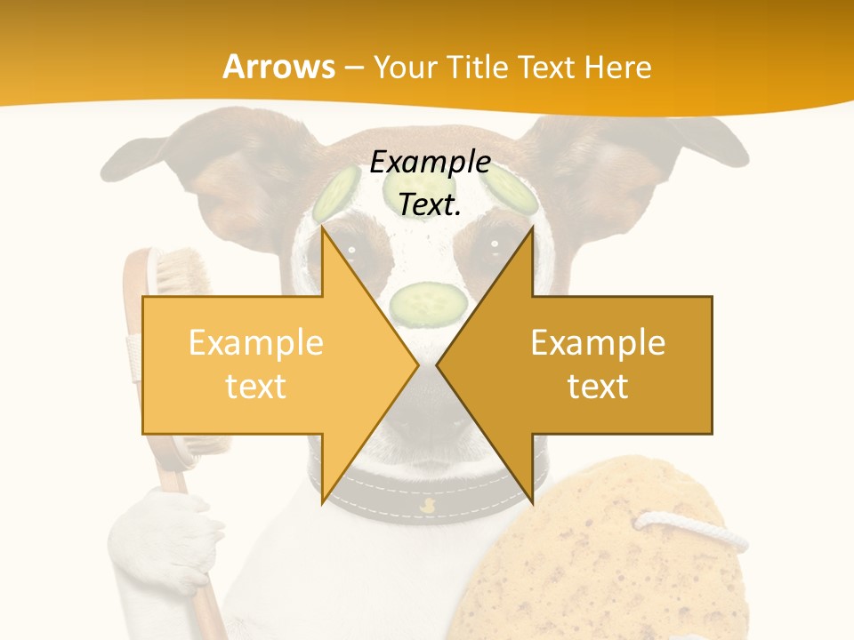 Healthy Body Treatment PowerPoint Template