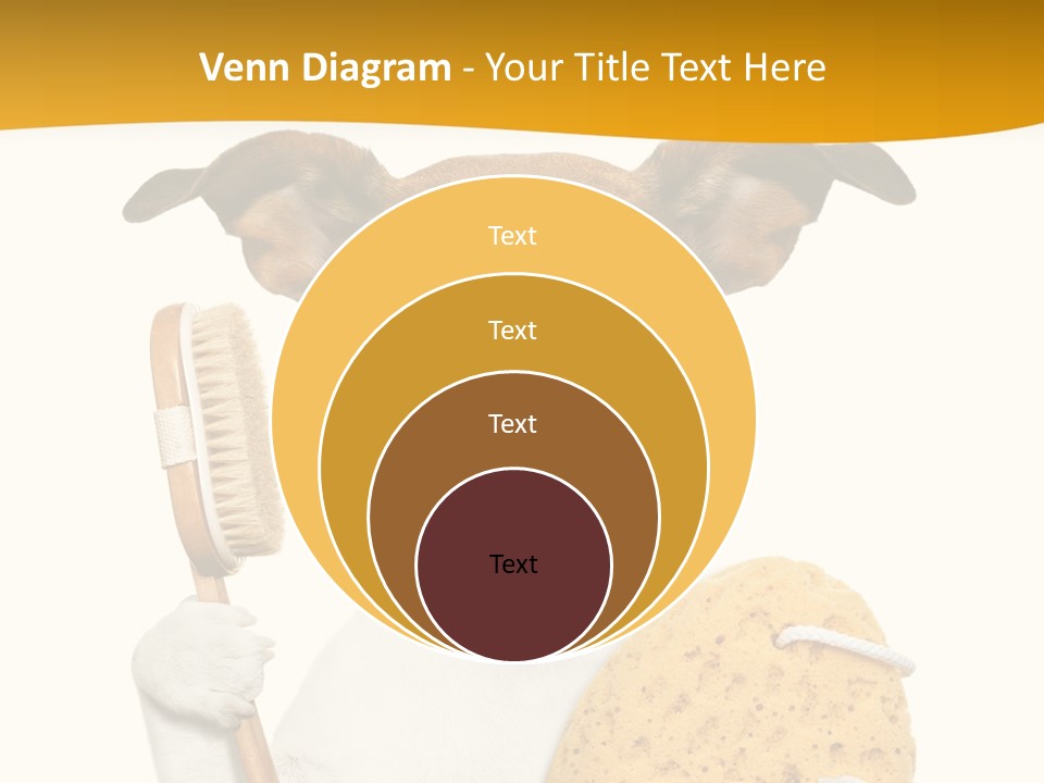 Healthy Body Treatment PowerPoint Template