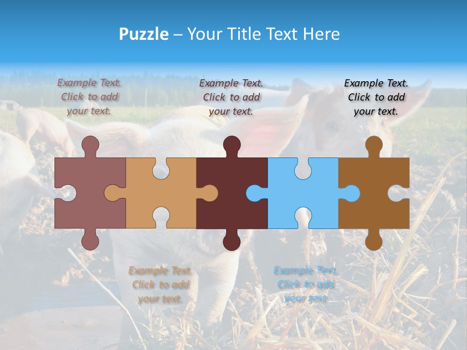 Livestock Piglet Scene PowerPoint Template