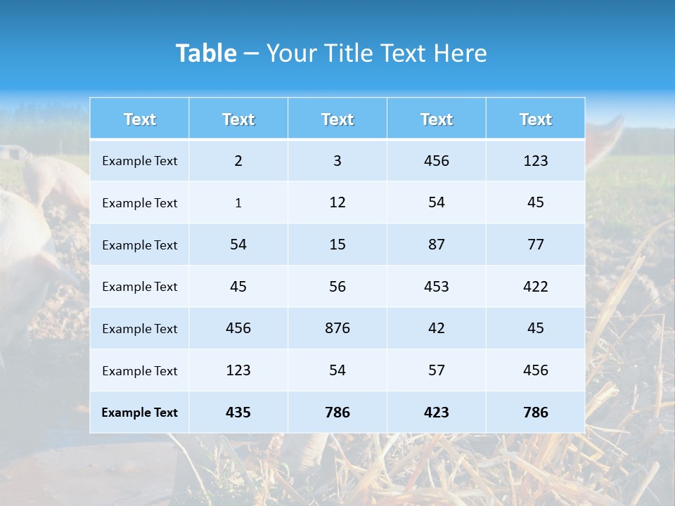 Livestock Piglet Scene PowerPoint Template