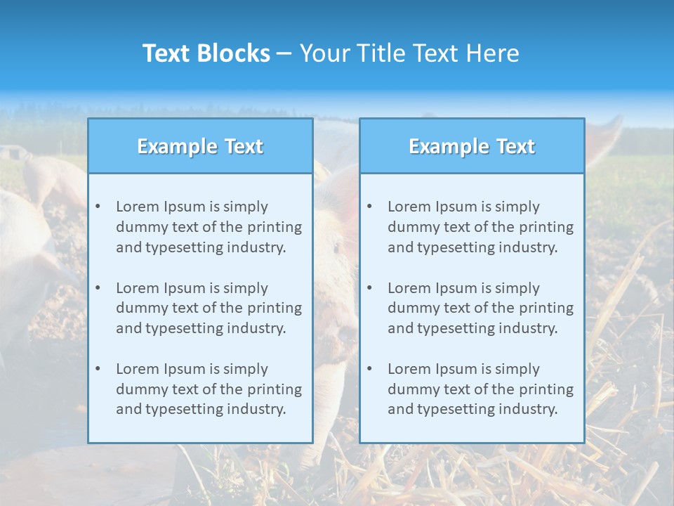 Livestock Piglet Scene PowerPoint Template