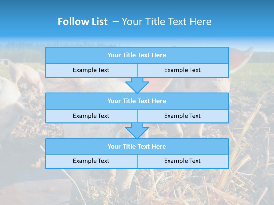 Livestock Piglet Scene PowerPoint Template
