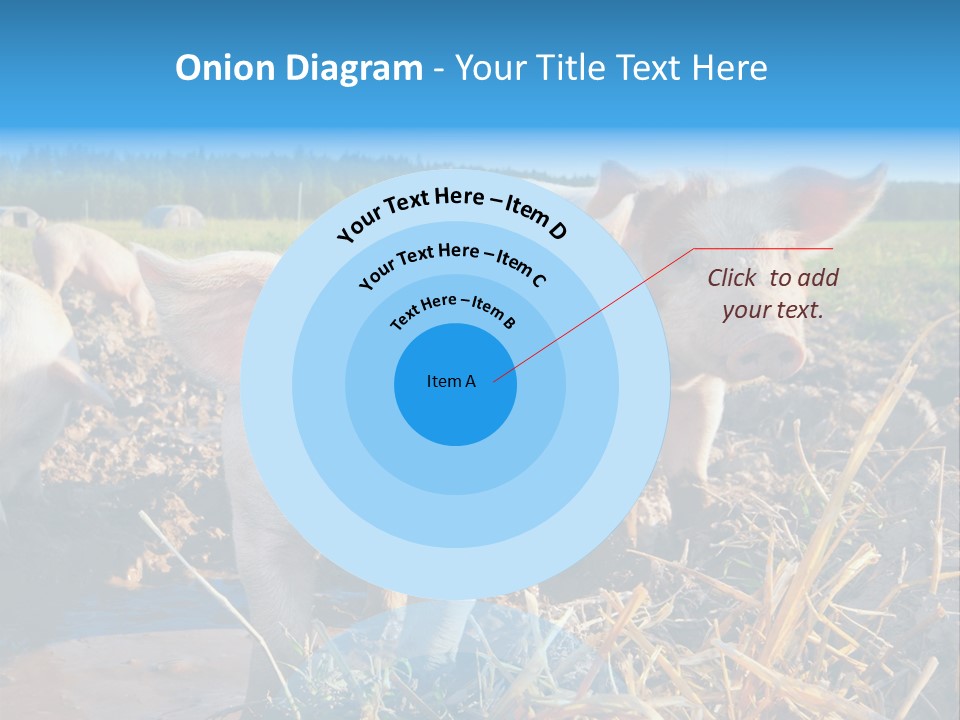 Livestock Piglet Scene PowerPoint Template