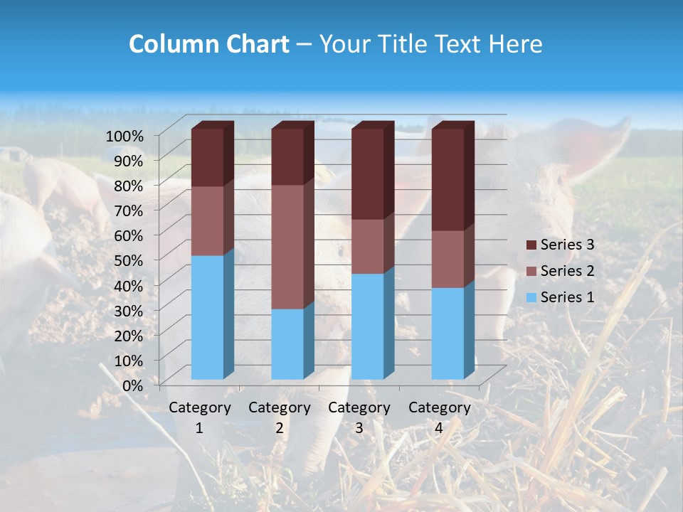 Livestock Piglet Scene PowerPoint Template