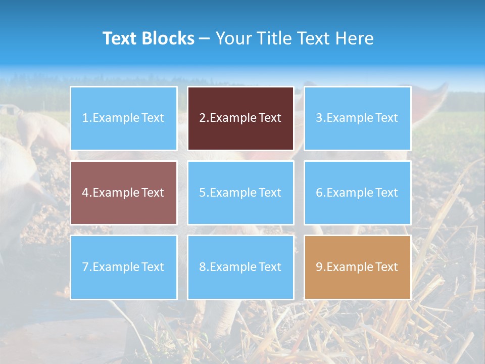 Livestock Piglet Scene PowerPoint Template