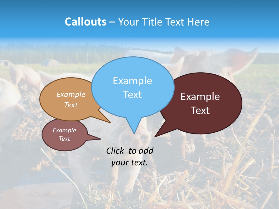 Livestock Piglet Scene PowerPoint Template