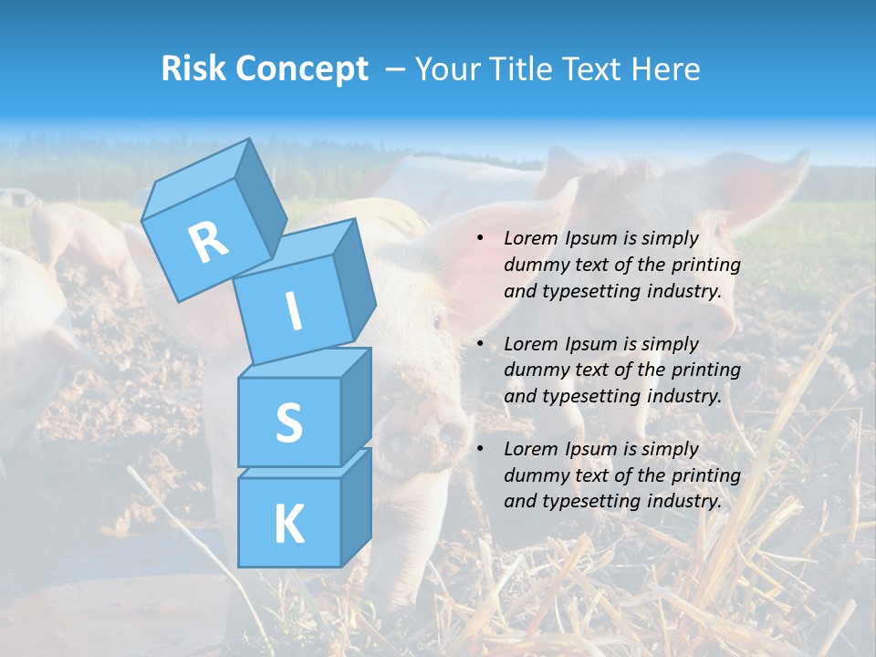 Livestock Piglet Scene PowerPoint Template