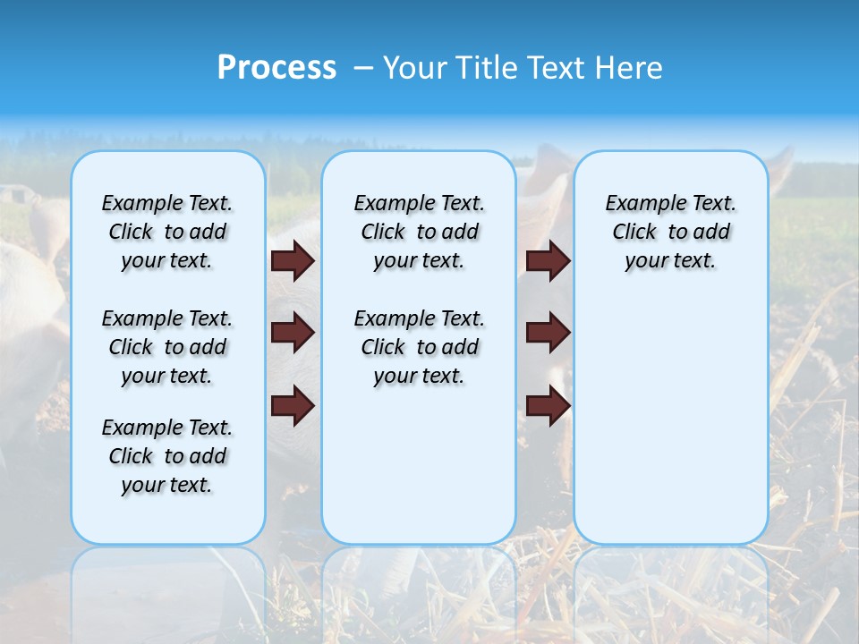 Livestock Piglet Scene PowerPoint Template