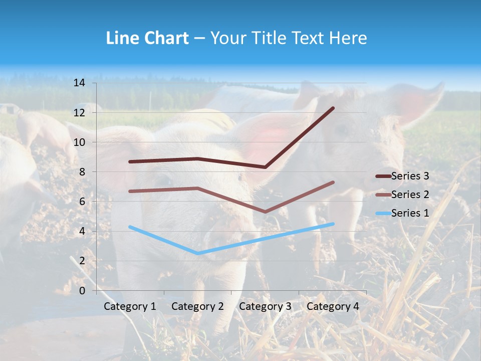 Livestock Piglet Scene PowerPoint Template