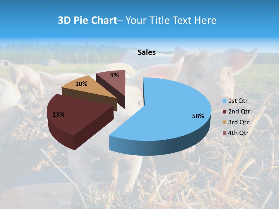 Livestock Piglet Scene PowerPoint Template