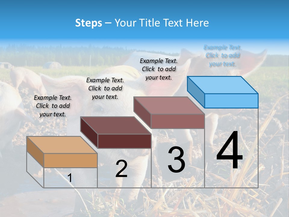 Livestock Piglet Scene PowerPoint Template