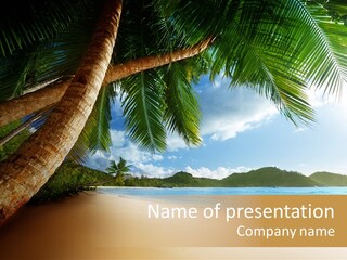 Island Down Idyllic PowerPoint Template