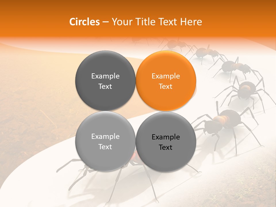 Species Infestation Colony PowerPoint Template