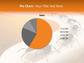 Species Infestation Colony PowerPoint Template