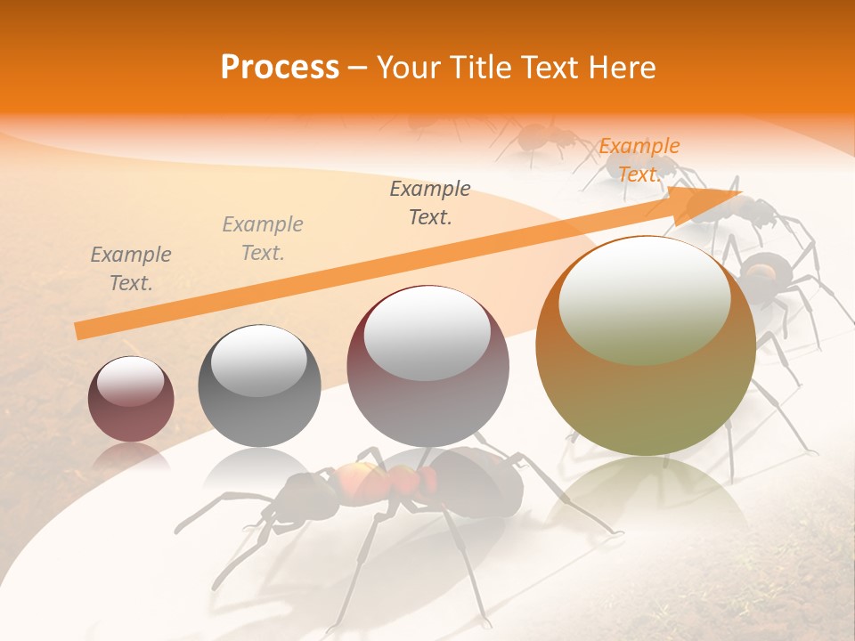 Species Infestation Colony PowerPoint Template
