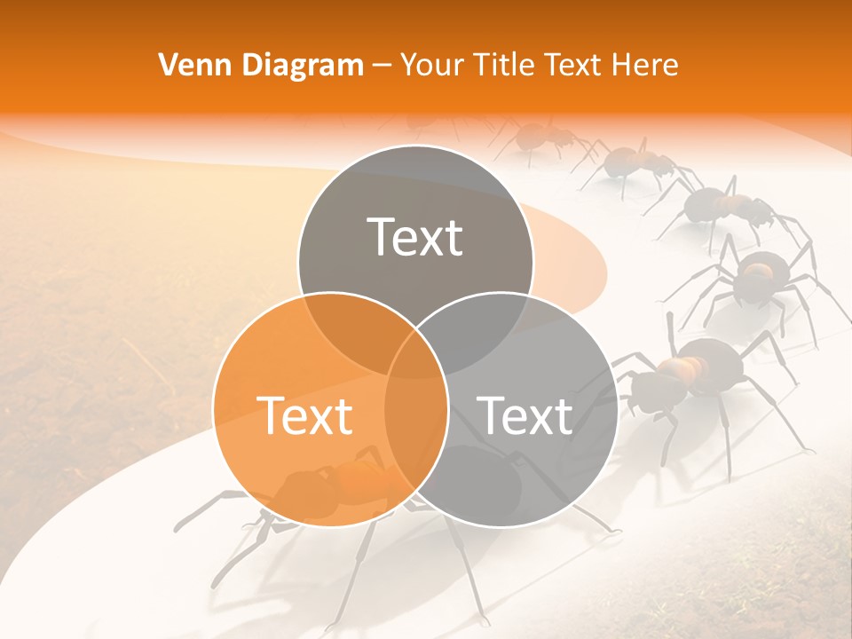 Species Infestation Colony PowerPoint Template