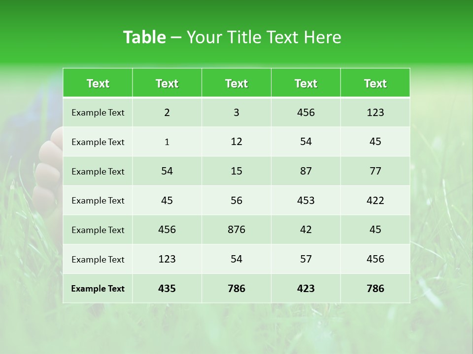 Flower Picnic Laying PowerPoint Template