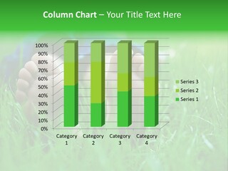 Flower Picnic Laying PowerPoint Template