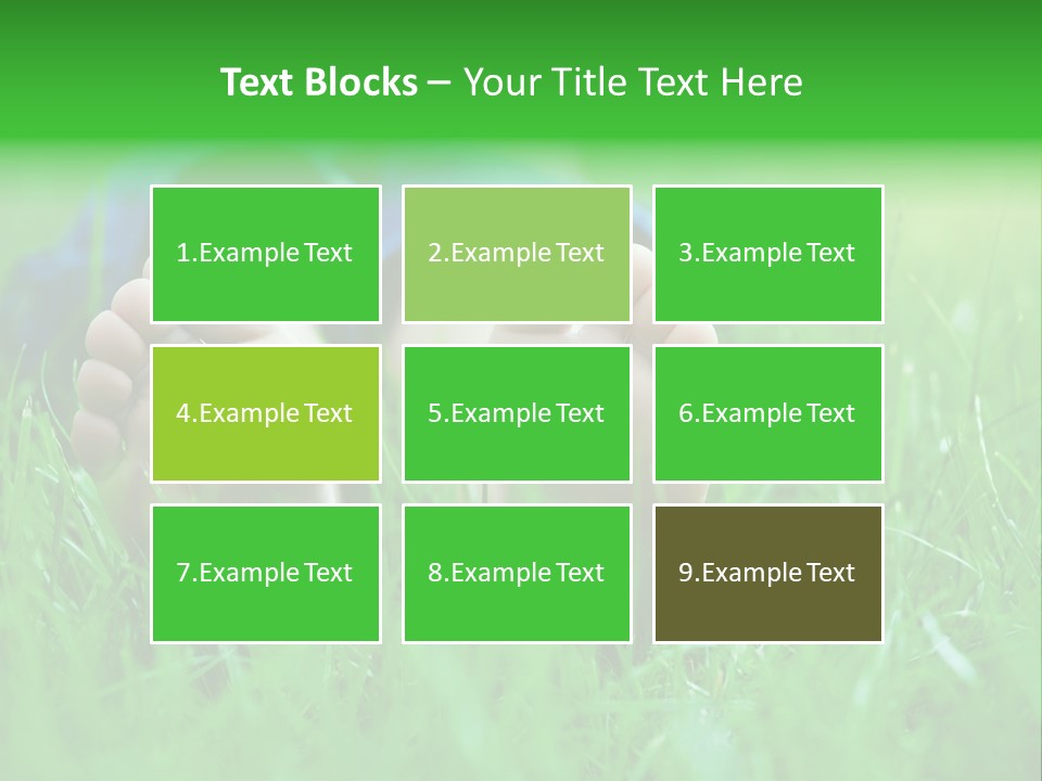 Flower Picnic Laying PowerPoint Template