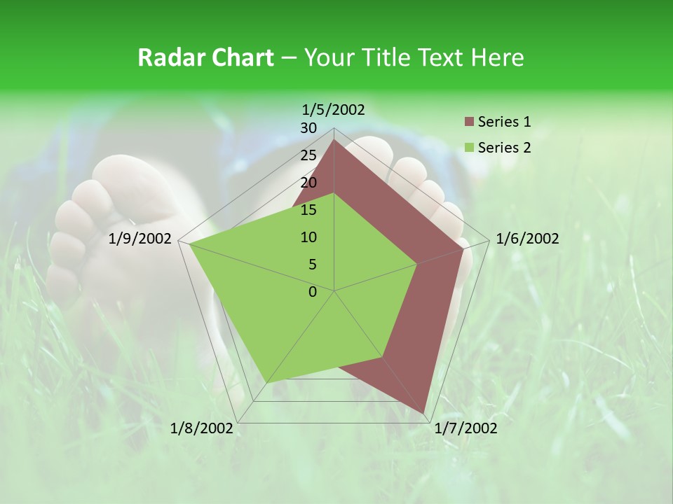 Flower Picnic Laying PowerPoint Template