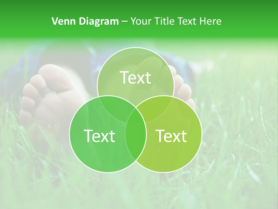 Flower Picnic Laying PowerPoint Template