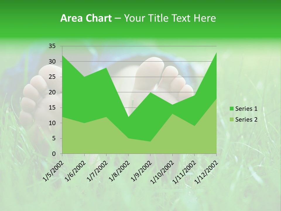 Flower Picnic Laying PowerPoint Template