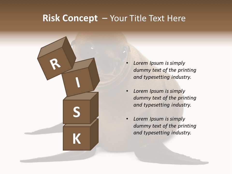 Zalophus Californianus Young Animal Isolated On White PowerPoint Template