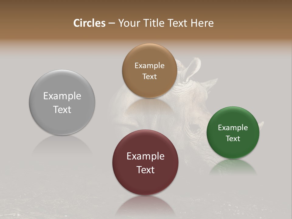 Herbivore Green Nature PowerPoint Template