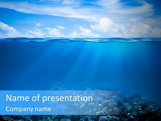 Waterline Seaweed Alga PowerPoint Template