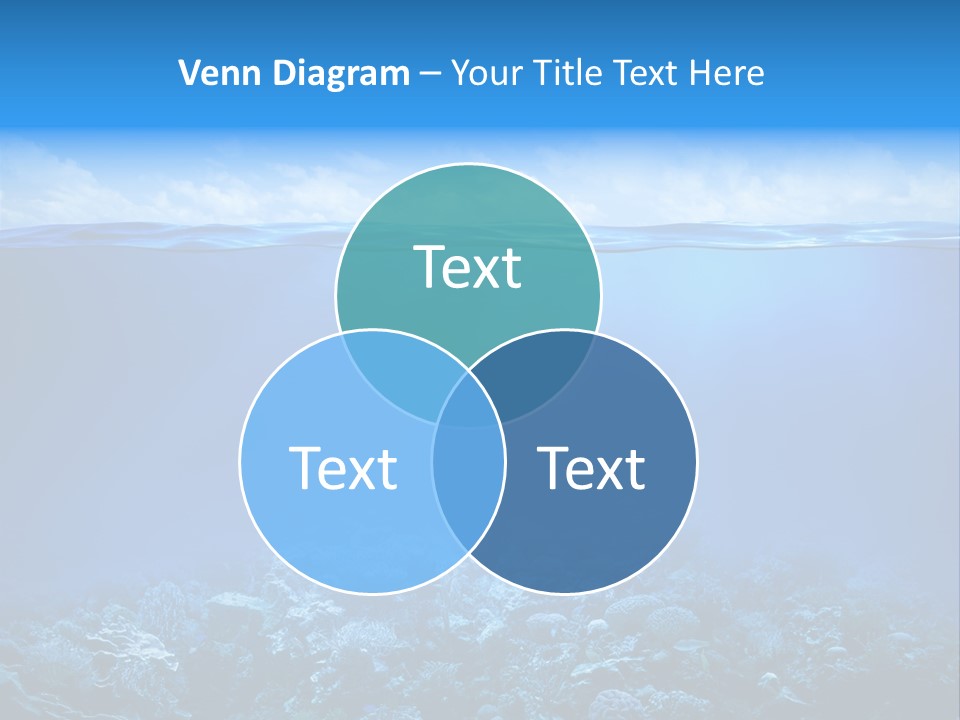 Waterline Seaweed Alga PowerPoint Template