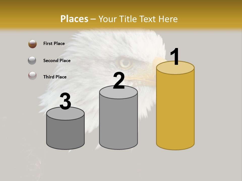 Head Haliaeetus American PowerPoint Template