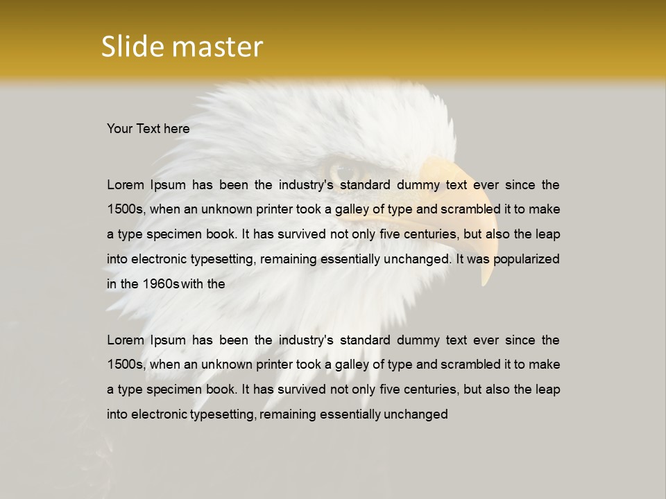 Head Haliaeetus American PowerPoint Template