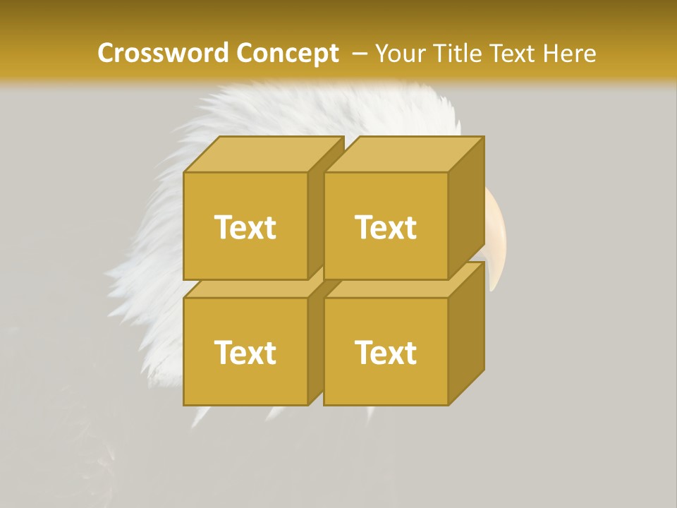 Head Haliaeetus American PowerPoint Template