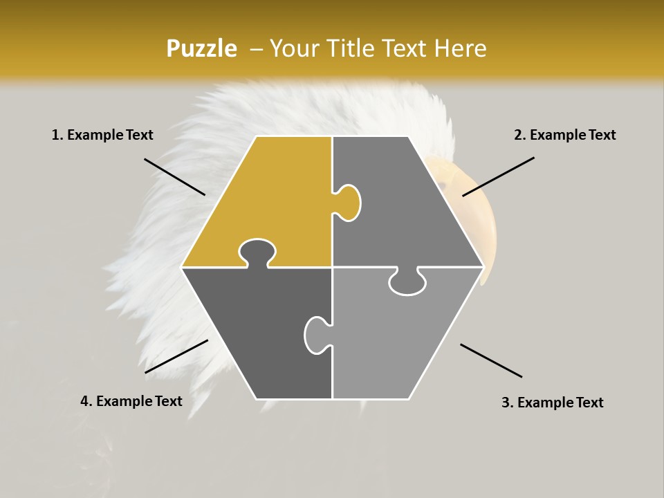 Head Haliaeetus American PowerPoint Template