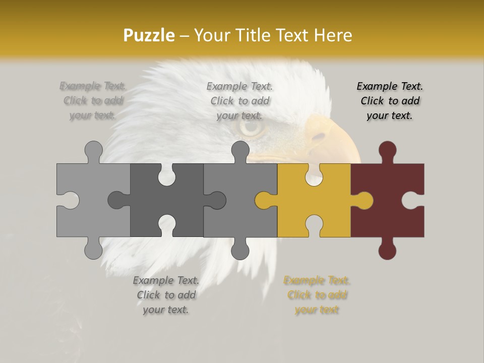 Head Haliaeetus American PowerPoint Template