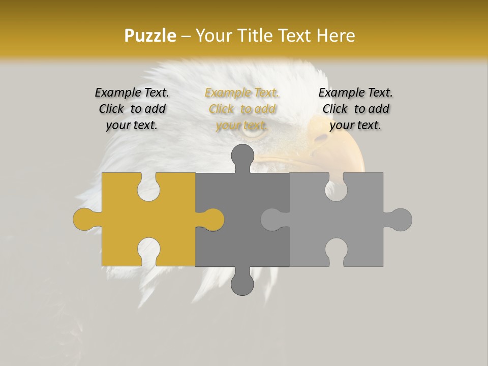 Head Haliaeetus American PowerPoint Template