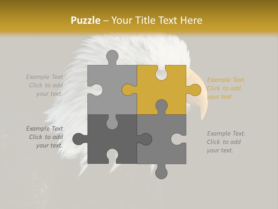 Head Haliaeetus American PowerPoint Template