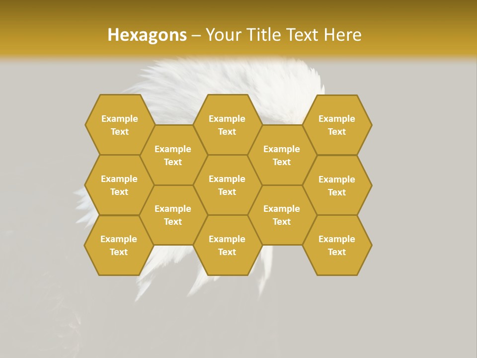 Head Haliaeetus American PowerPoint Template