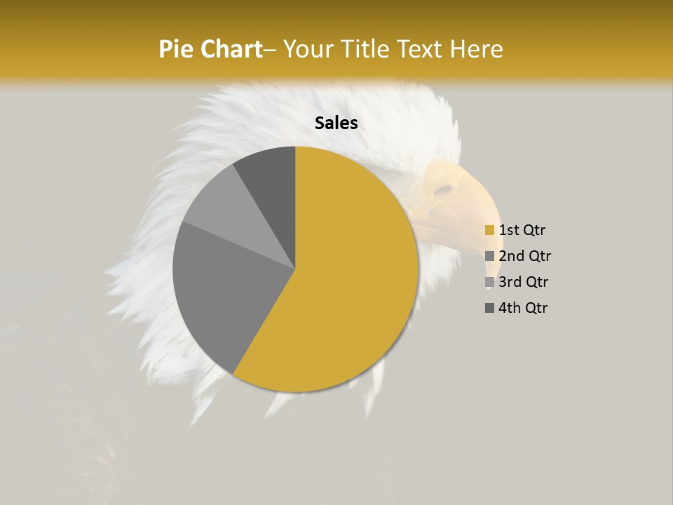 Head Haliaeetus American PowerPoint Template