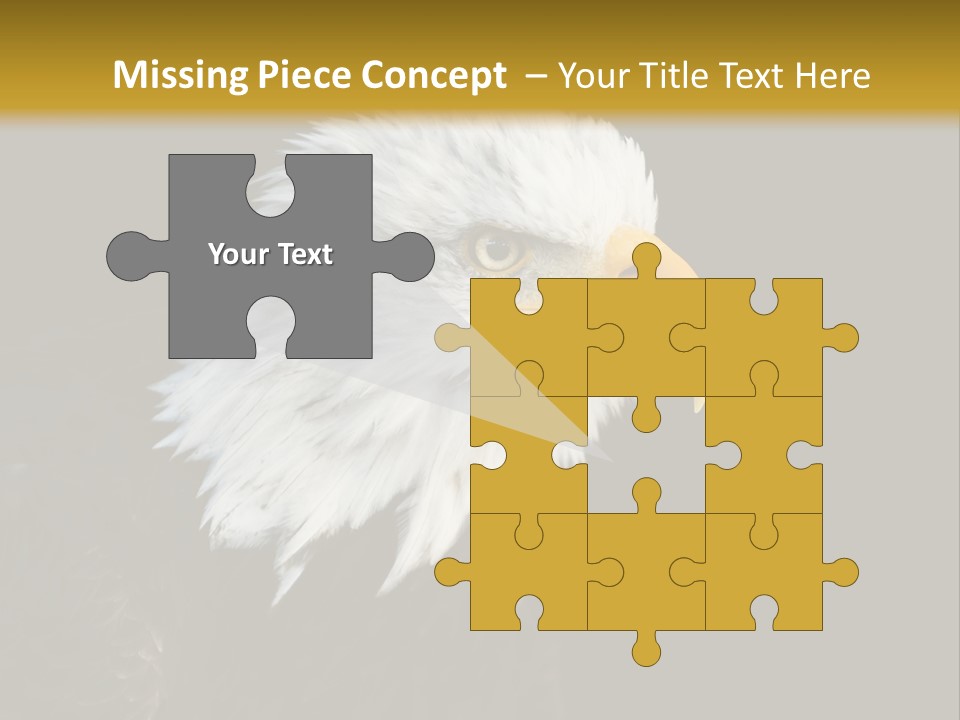 Head Haliaeetus American PowerPoint Template