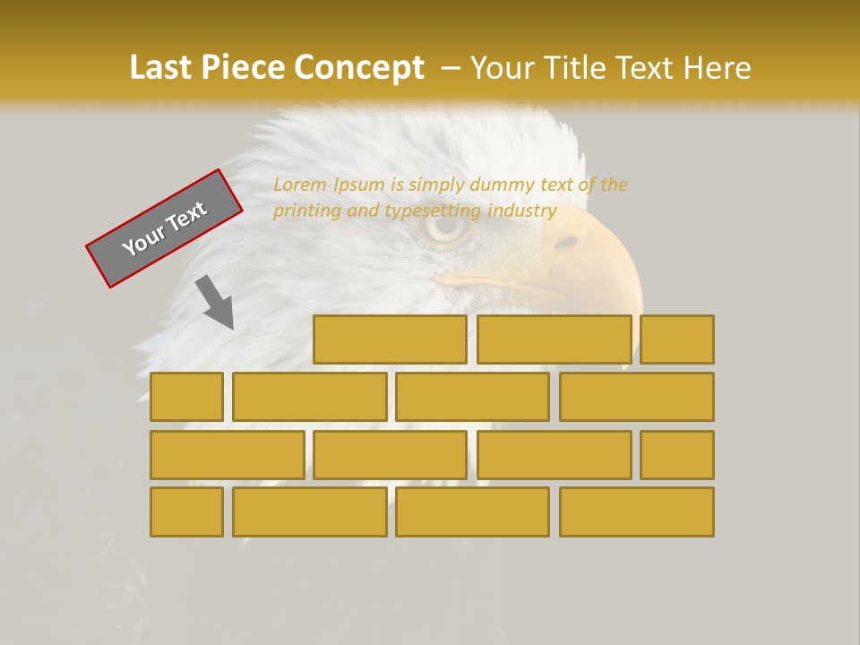 Head Haliaeetus American PowerPoint Template
