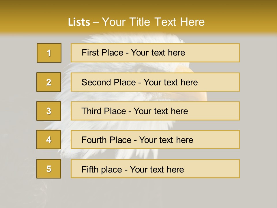 Head Haliaeetus American PowerPoint Template