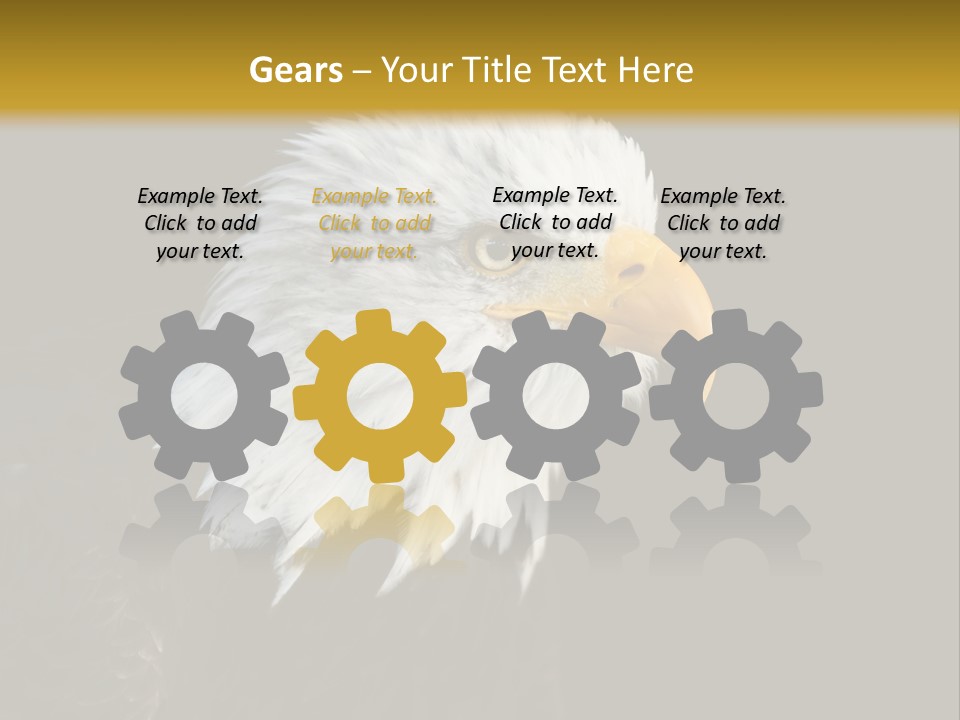 Head Haliaeetus American PowerPoint Template