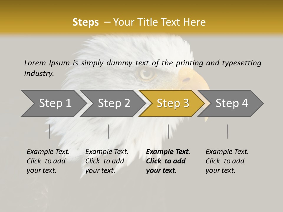 Head Haliaeetus American PowerPoint Template
